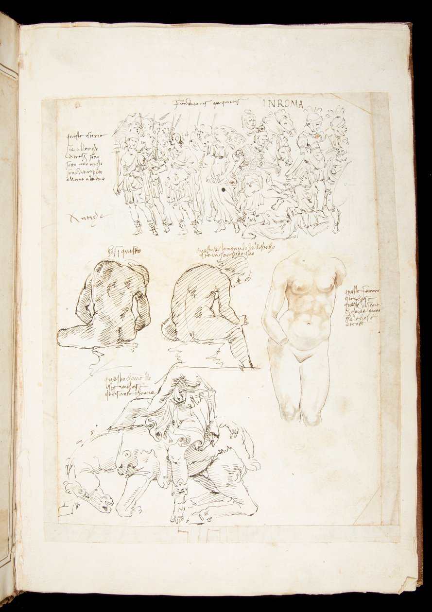 Ms 701 fl.34v ، رسم يتضمن منظرًا للسبيناريو من الخلف ، أواخر القرن الخامس عشر (قلم حبر وحبر على ورق) بواسطة المدرسة الأوروبية
