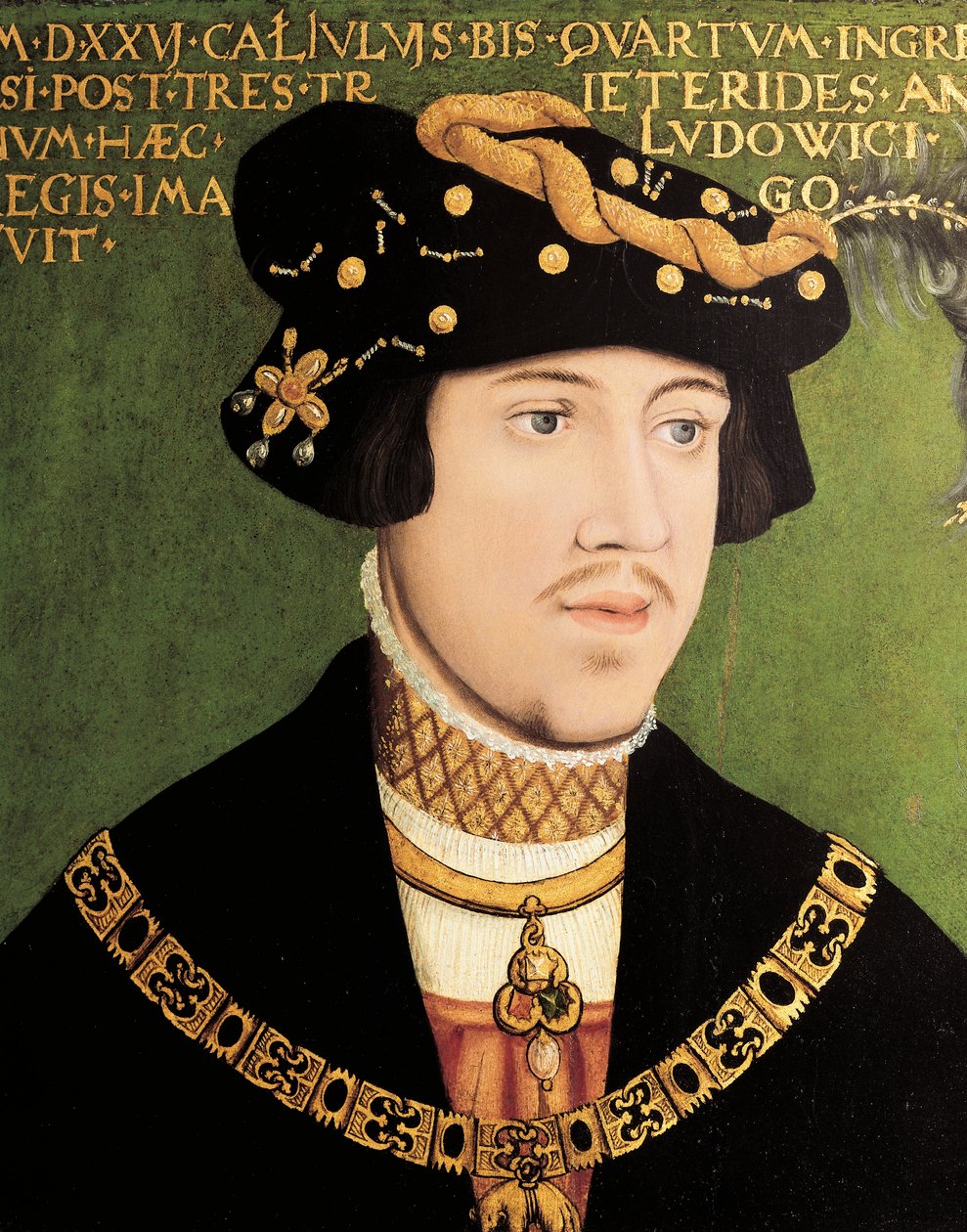 Portrait of Louis II of Hungary, King of Hungary, Bohemia and Croatia (oil on panel) بواسطة المدرسة الأوروبية