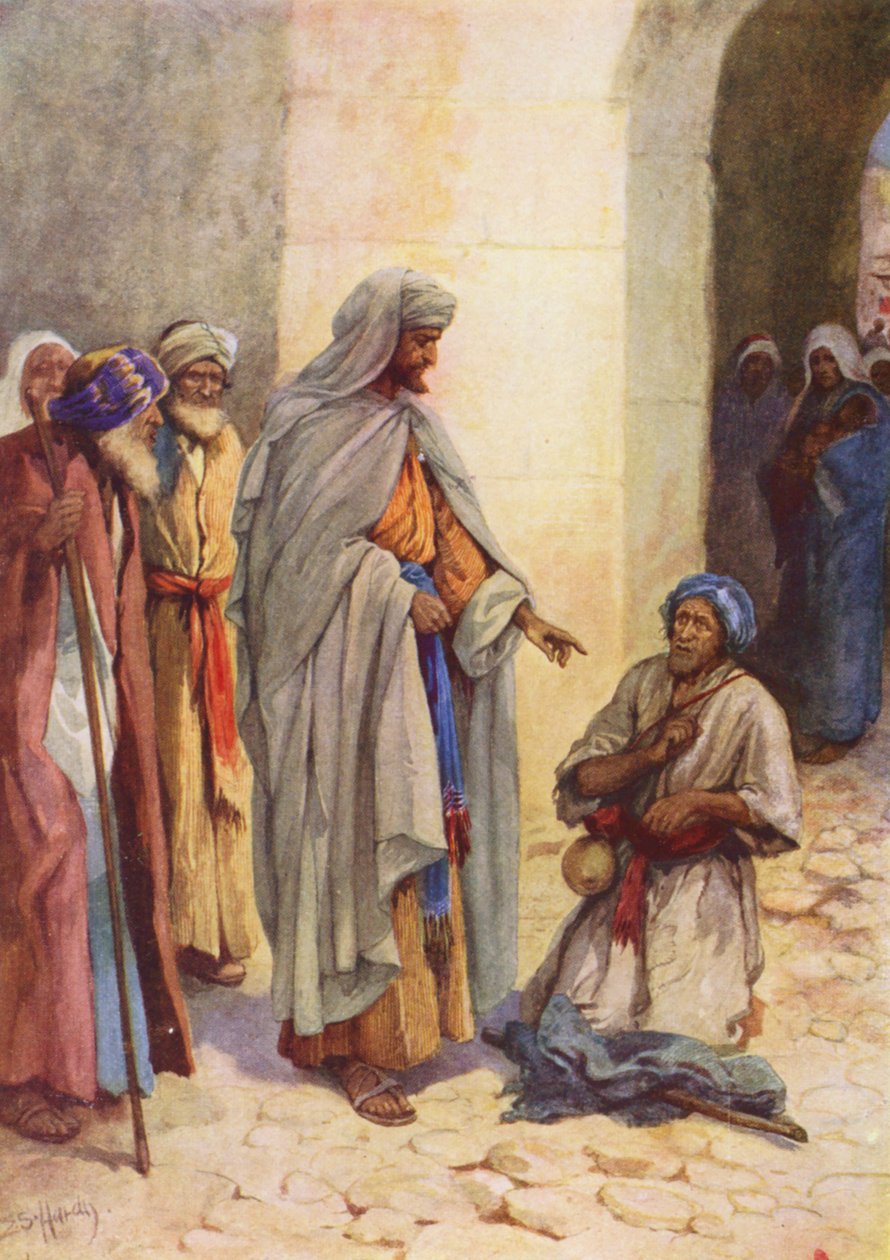  بواسطة إيفلين ستيوارت هاردي