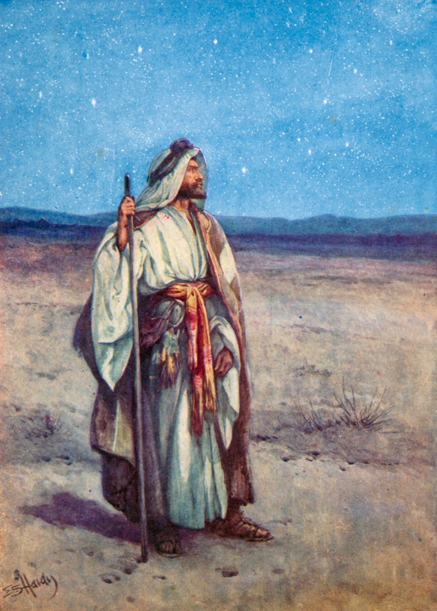  بواسطة إيفلين ستيوارت هاردي
