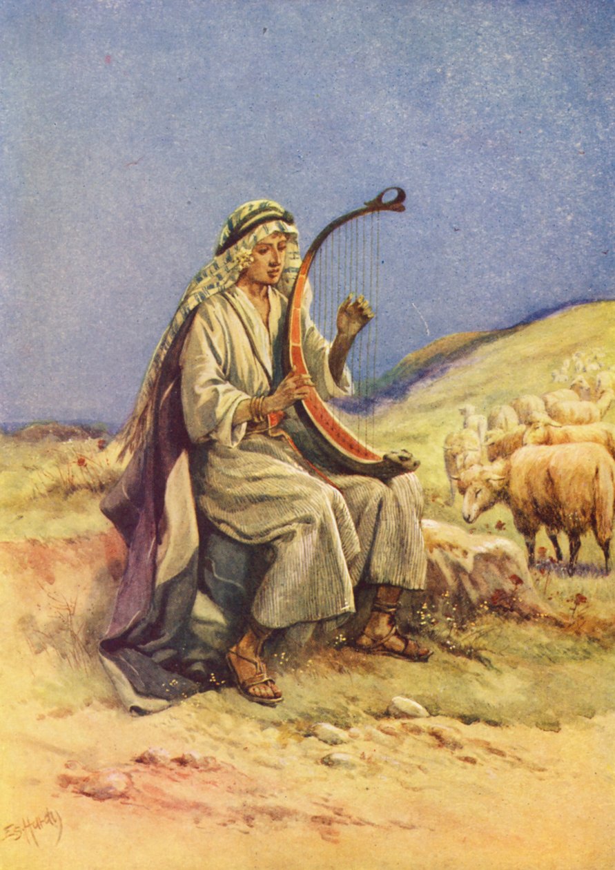  بواسطة إيفلين ستيوارت هاردي