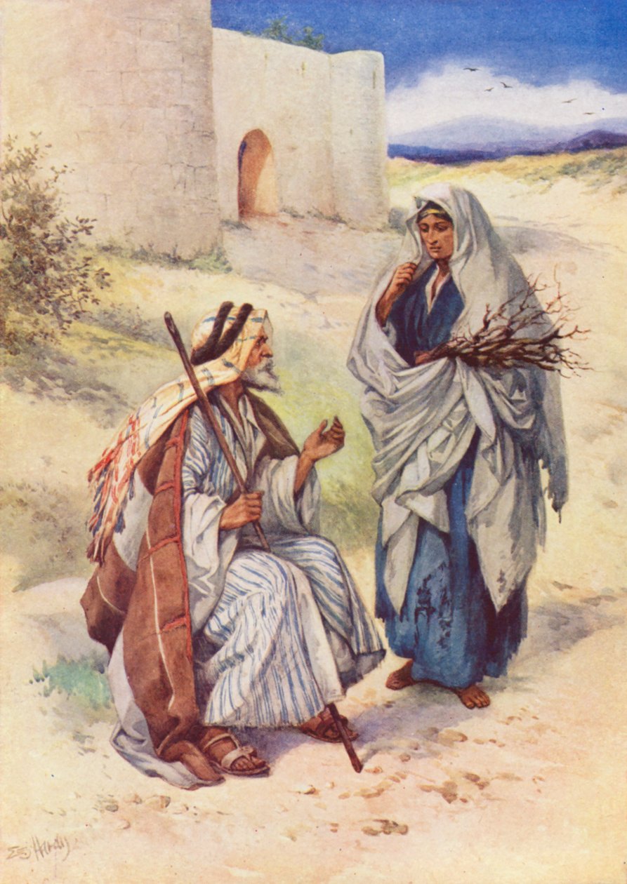  بواسطة إيفلين ستيوارت هاردي