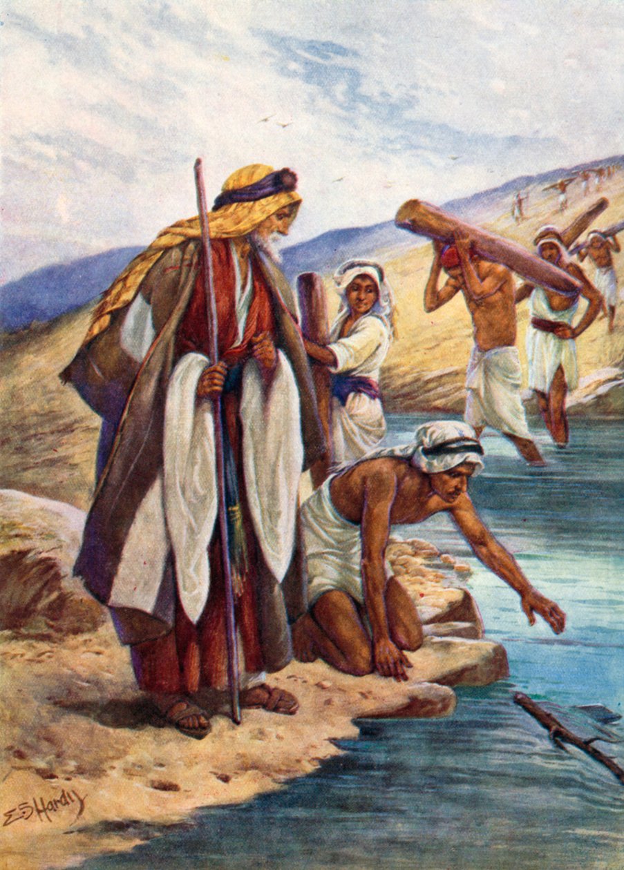  بواسطة إيفلين ستيوارت هاردي