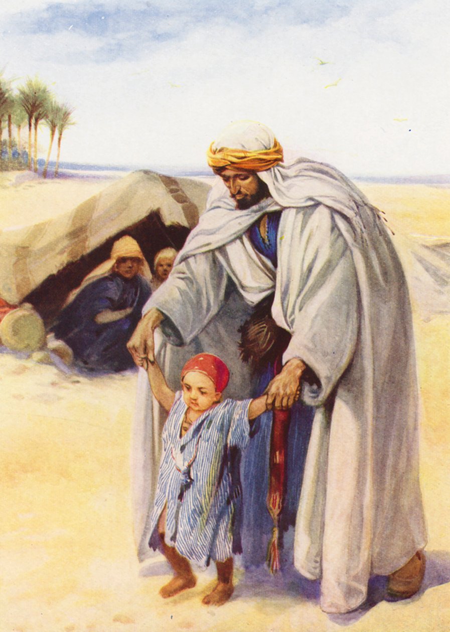  بواسطة إيفلين ستيوارت هاردي