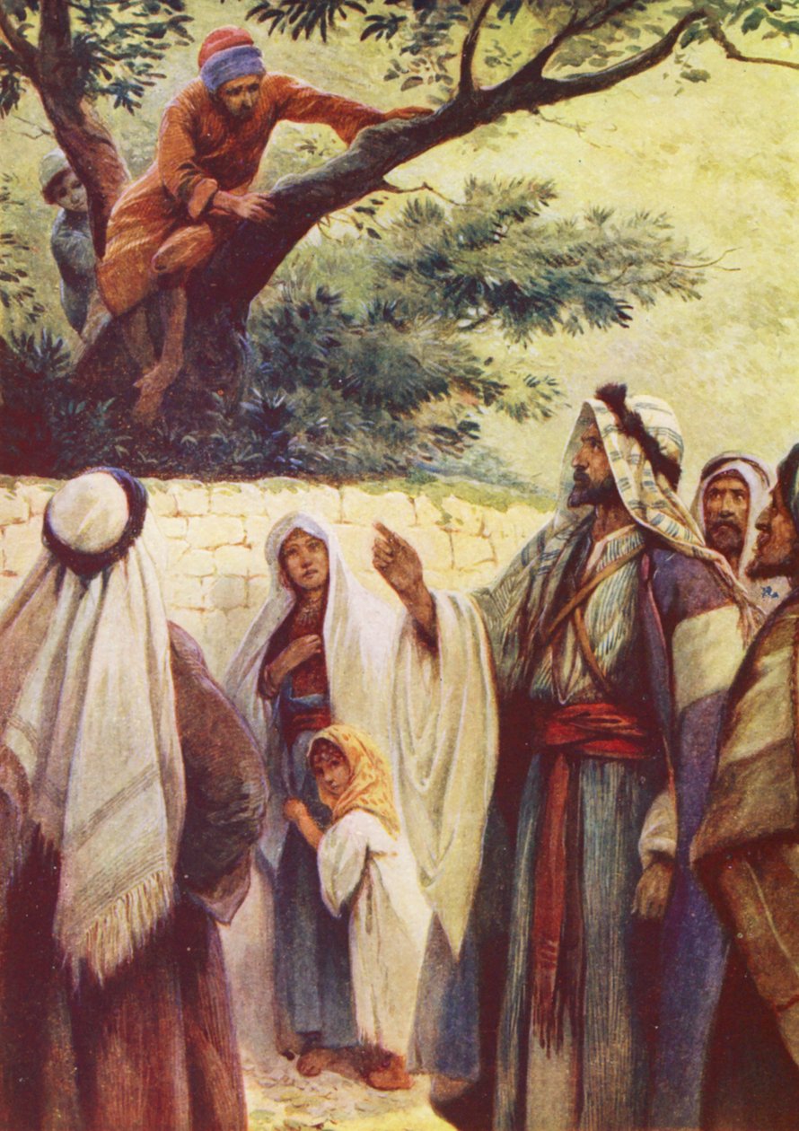  بواسطة إيفلين ستيوارت هاردي