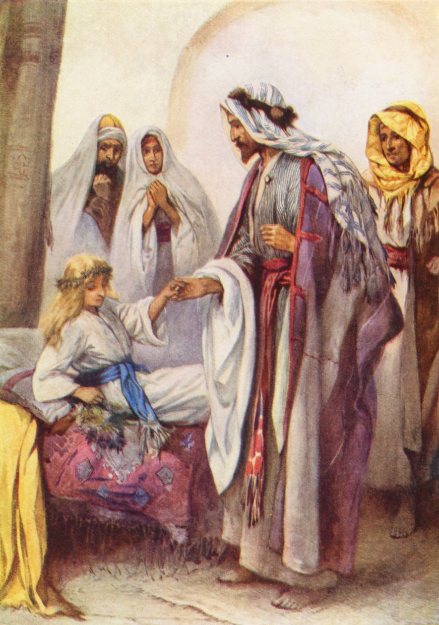  بواسطة إيفلين ستيوارت هاردي