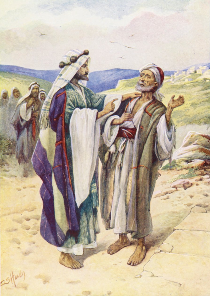  بواسطة إيفلين ستيوارت هاردي