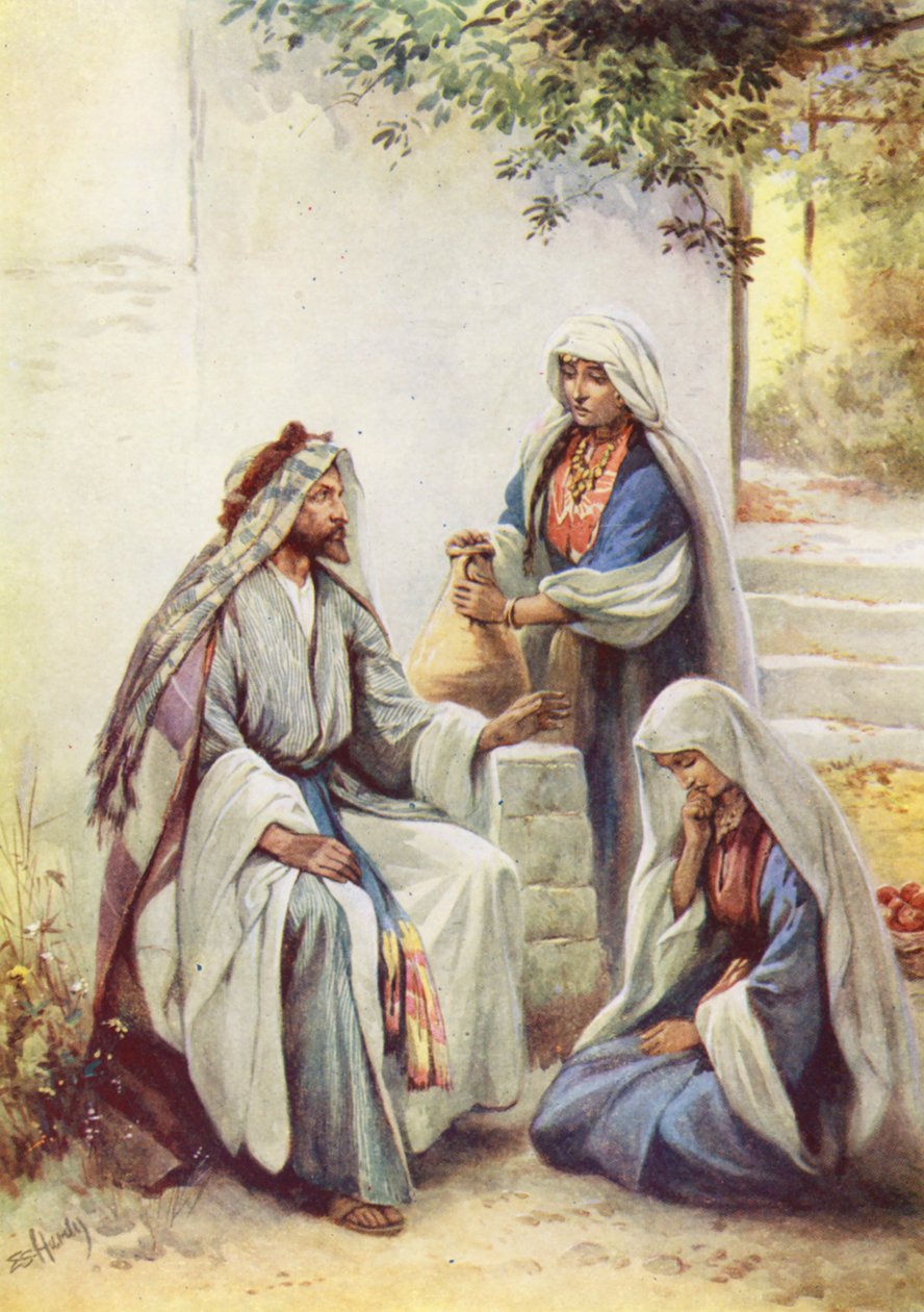  بواسطة إيفلين ستيوارت هاردي