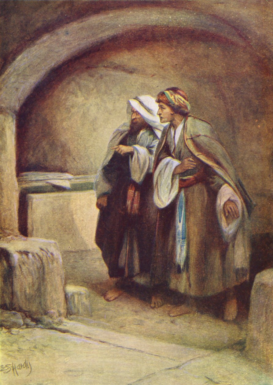  بواسطة إيفلين ستيوارت هاردي