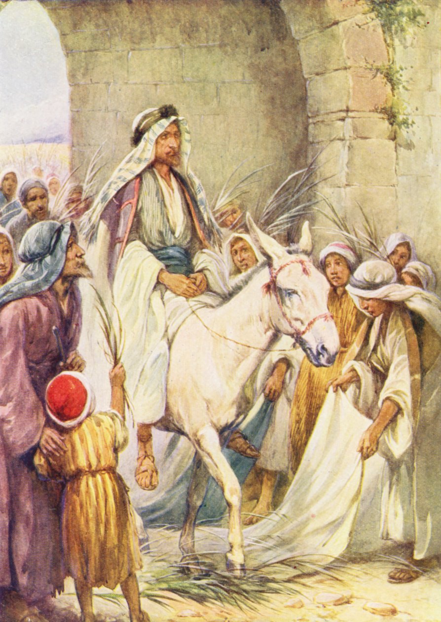  بواسطة إيفلين ستيوارت هاردي