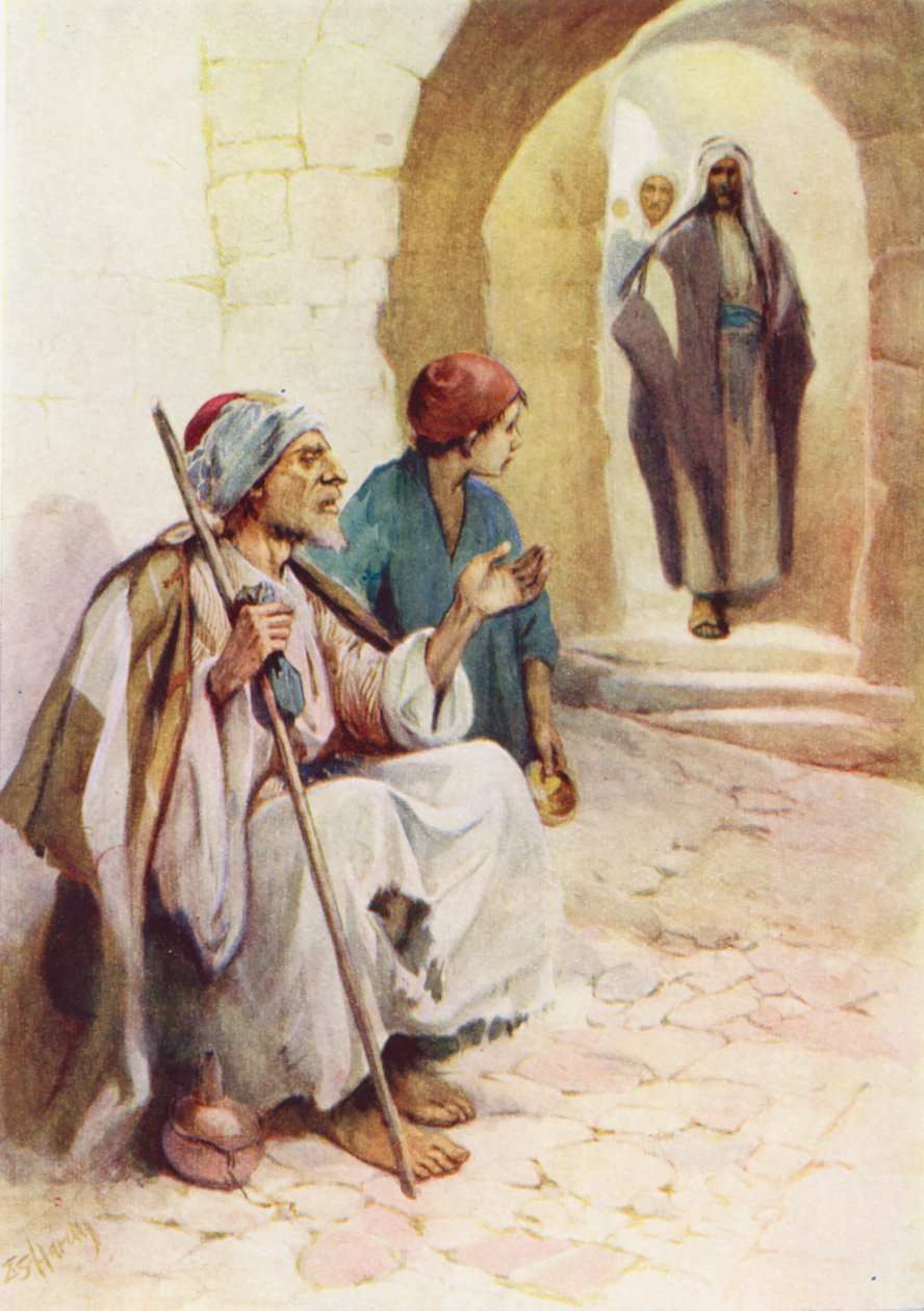  بواسطة إيفلين ستيوارت هاردي