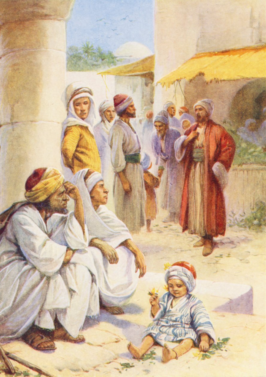  بواسطة إيفلين ستيوارت هاردي