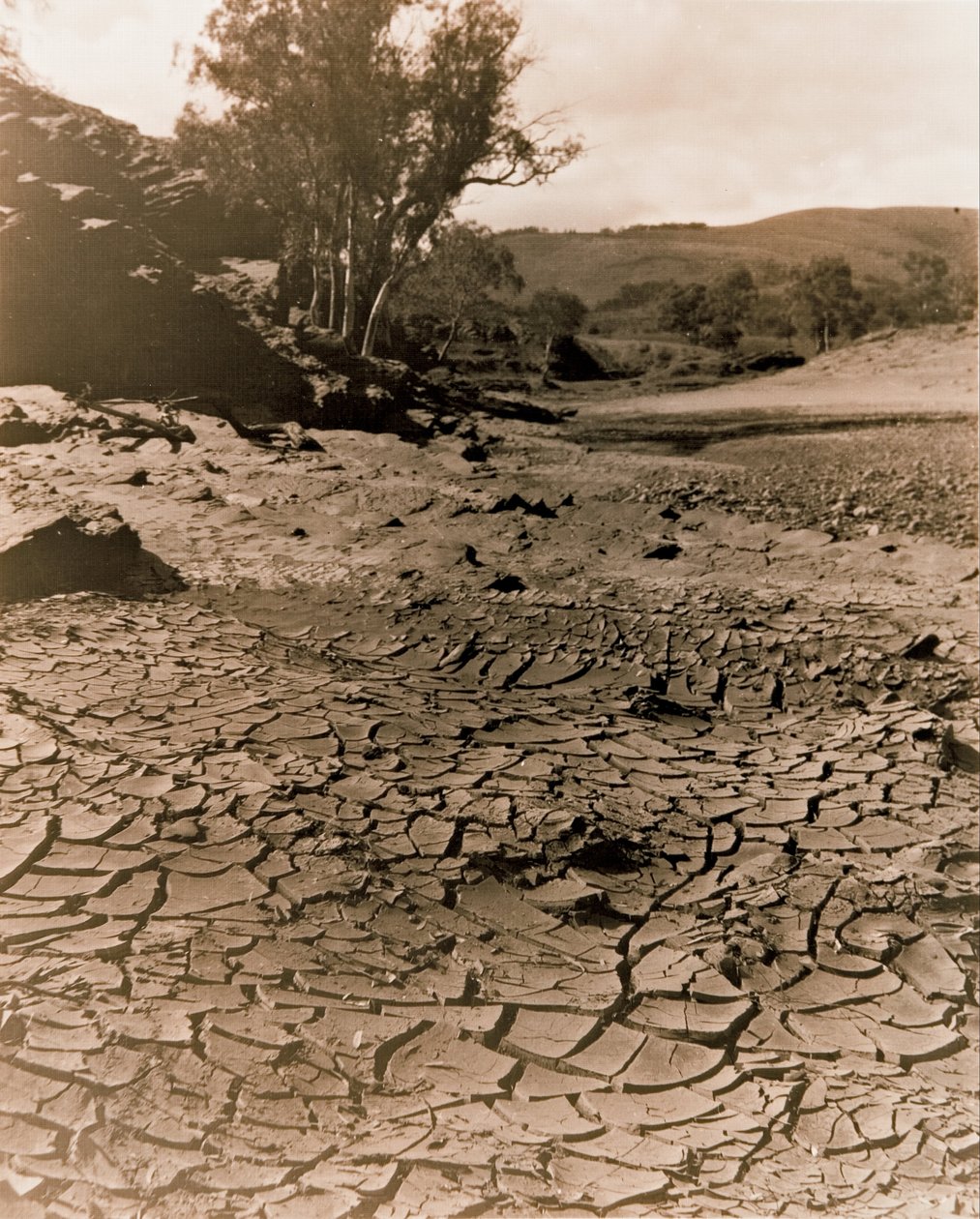 المجموعة المختفية ، Flinders Ranges بواسطة الاتحاد الانجليزي Joyner