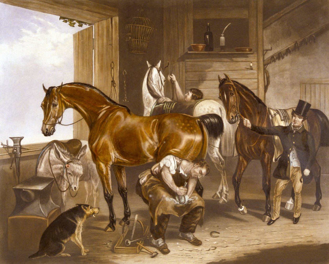 The Veterinarian, engraved by J.R. Mackrell (colour litho) بواسطة FC (بعد) تيرنر