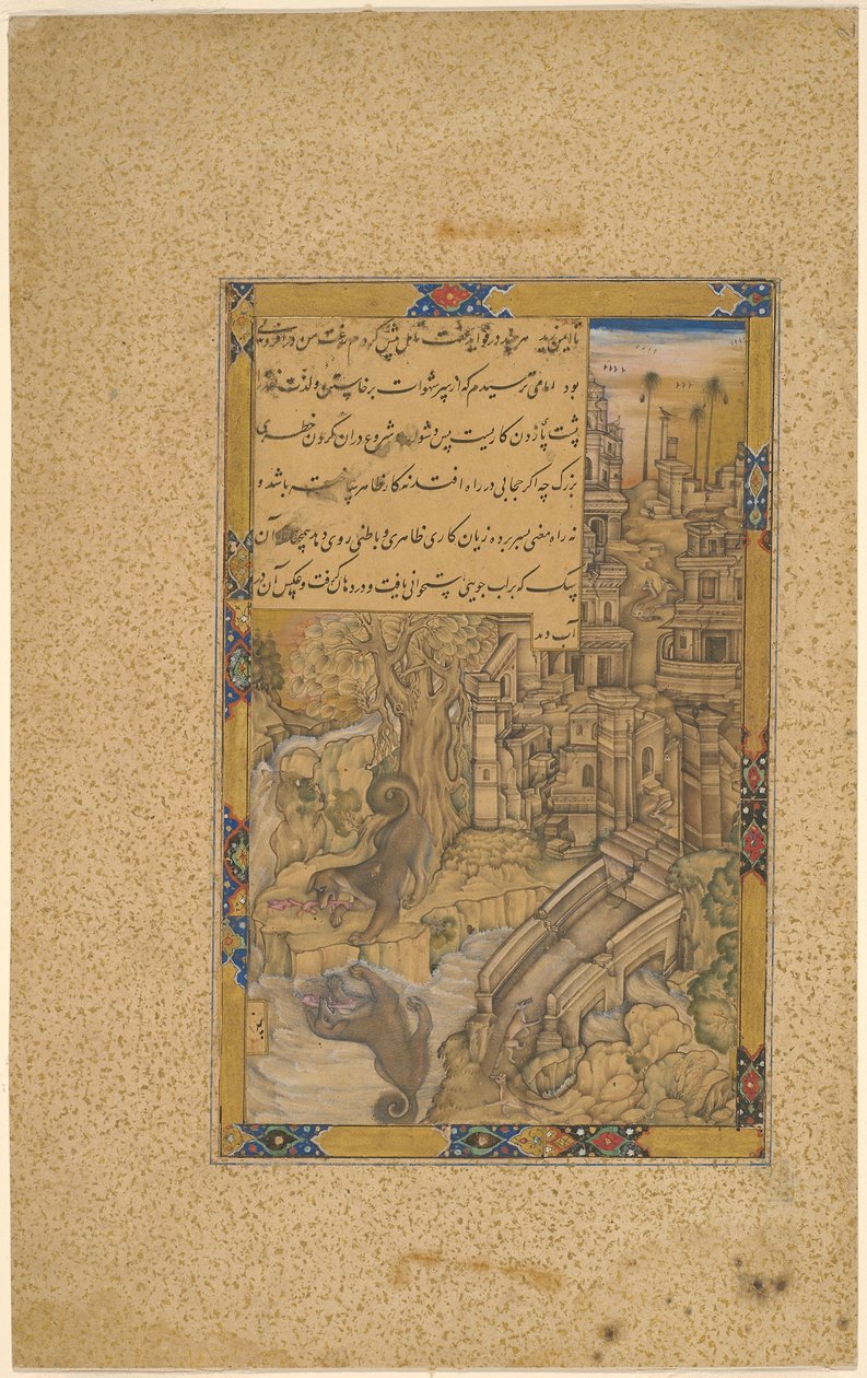  بواسطة فاروق شيلا