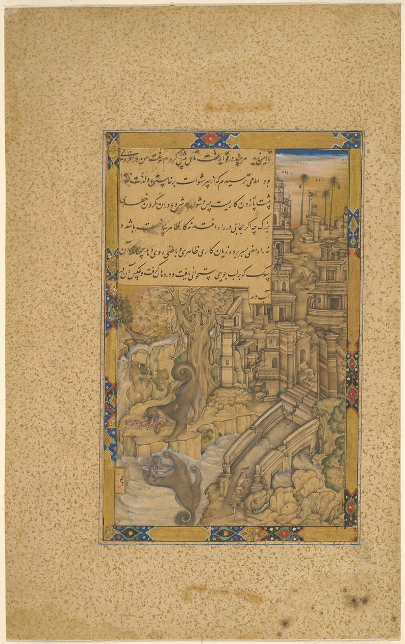  بواسطة فاروق شيلا