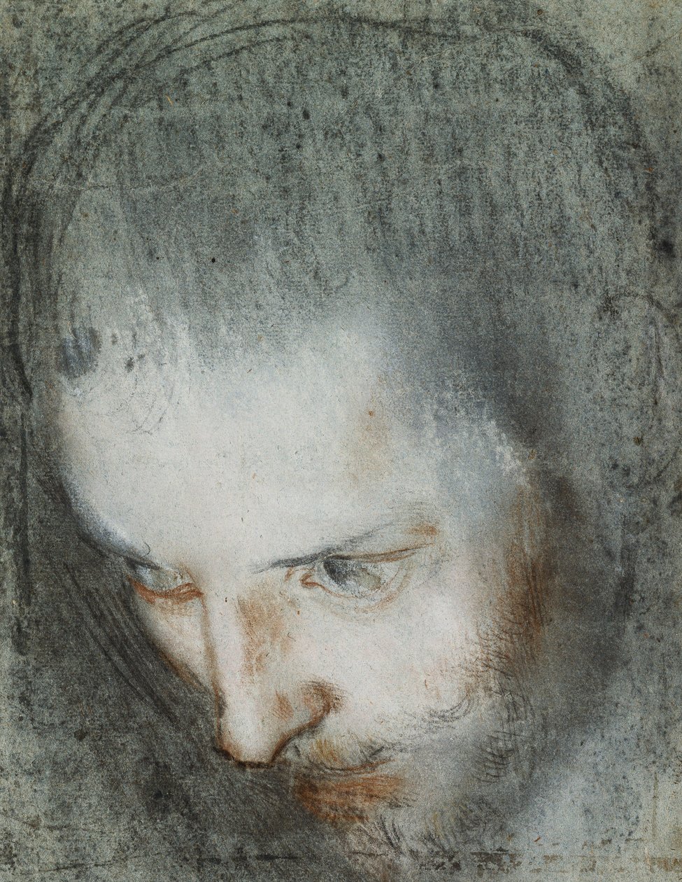 رأس القديس فرنسيس يتطلع إلى اليسار ، بواسطة Federico Fiori Barocci أو Baroccio