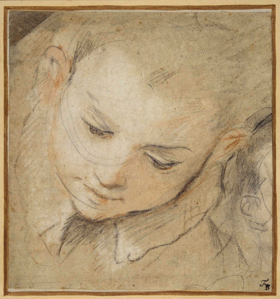 Head of a boy looking down بواسطة Federico Fiori Barocci أو Baroccio