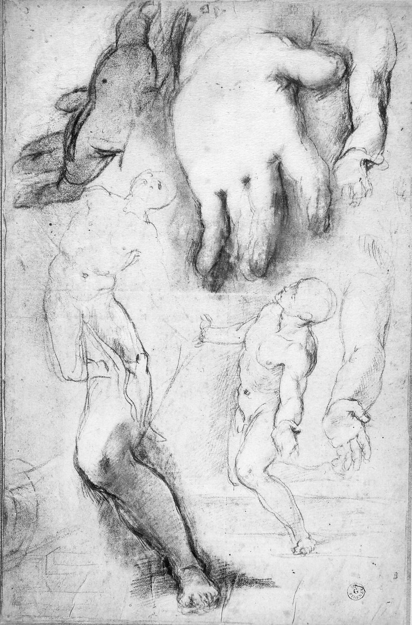 دراسة عن شخصية القديس فرنسيس (طباشير على ورق) بواسطة Federico Fiori Barocci أو Baroccio