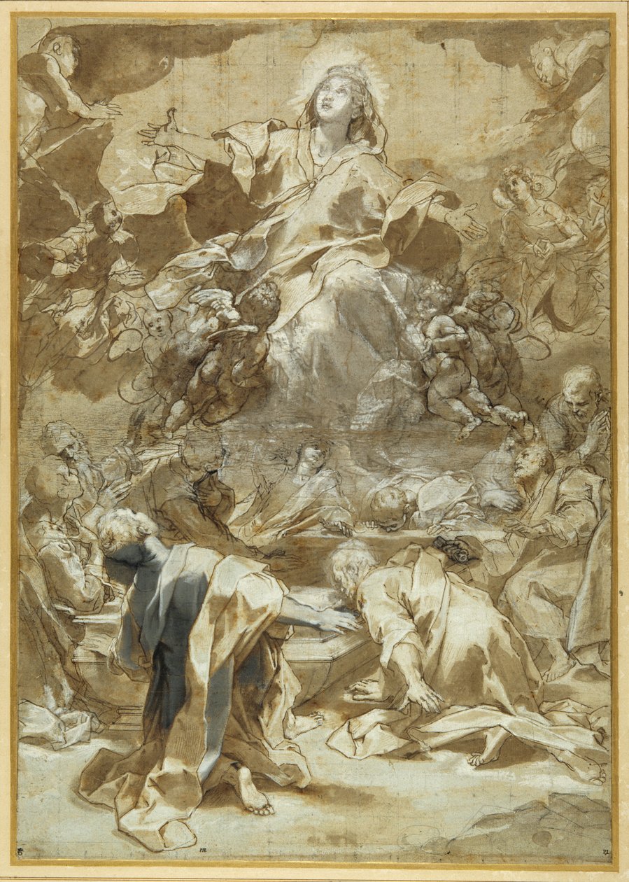 افتراض العذراء (قلم وحبر بني مع ألوان بني ورمادي) بواسطة Federico Fiori Barocci أو Baroccio
