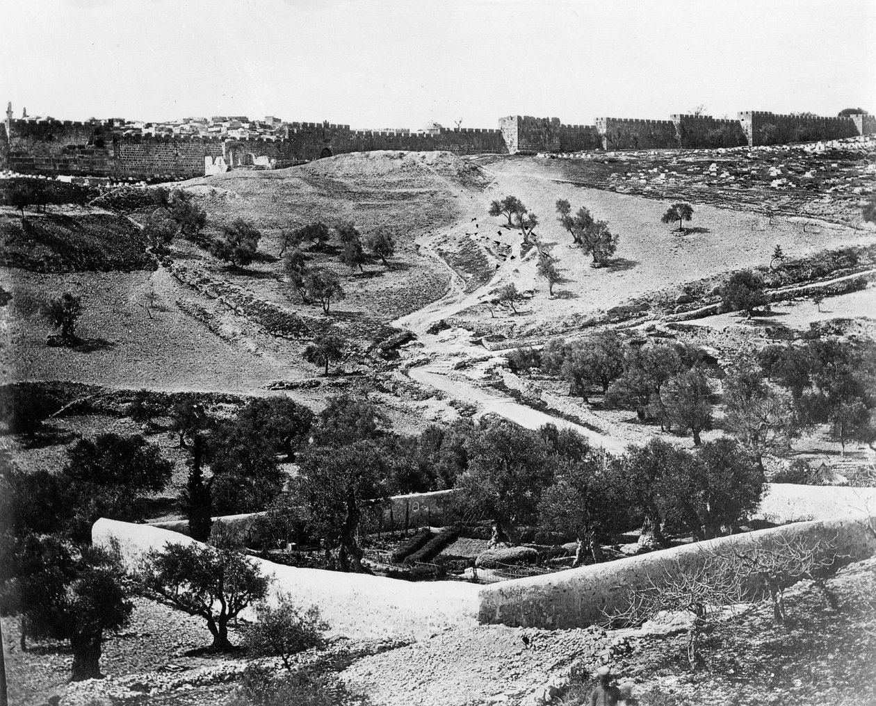 حديقة الجسمانية ، 1857 بواسطة فيليس بيتو