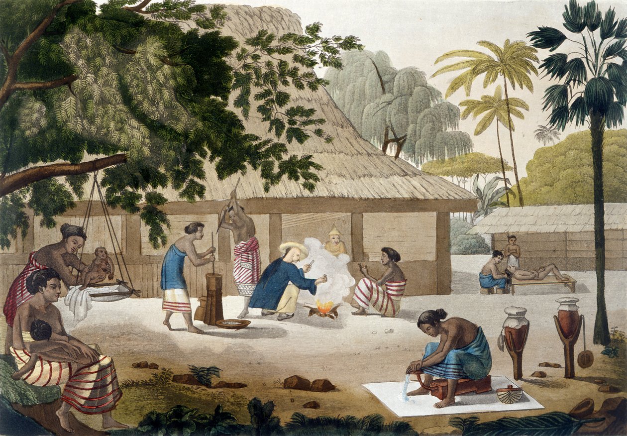 الحياة المنزلية في كوبانغ ، تيمور ، اللوحة 10 من "Le Costume Ancien et Moderne" بقلم جولز فيراريو ، نُشرت في 1820s-30s بواسطة فيليس كامبي