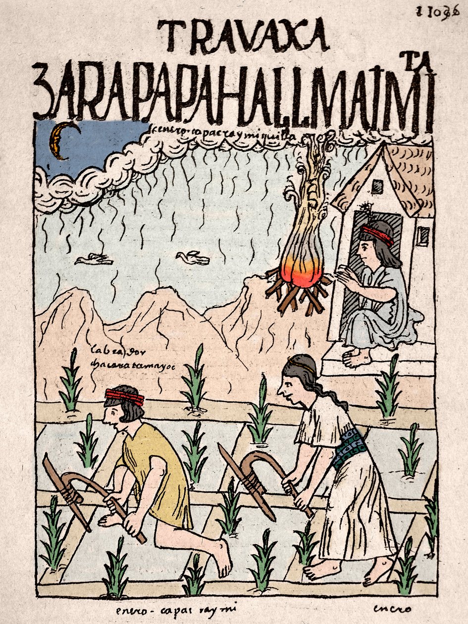 إمبراطورية الإنكا: زوجان هنديان من فصل هاتون رونا يعملان في الأرض في يناير - رسم بالحبر من مخطوطة دون فيليبي بوما دي أيالا "نويفا كورنيكا إي بوين غوبييرنو" التي توضح حياة الإنكا - القرن السادس عشر (زوجان هنديان من هاتون رونا بواسطة فيليبي هوامان بوما دي أيالا