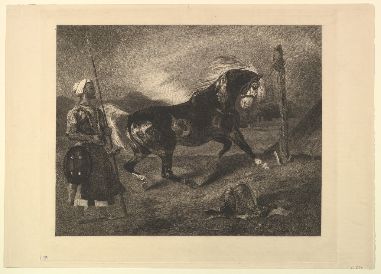 الحصان العربي مع الحصة ، بعد Delacroix ، 1857. بواسطة فيليكس براكيموند