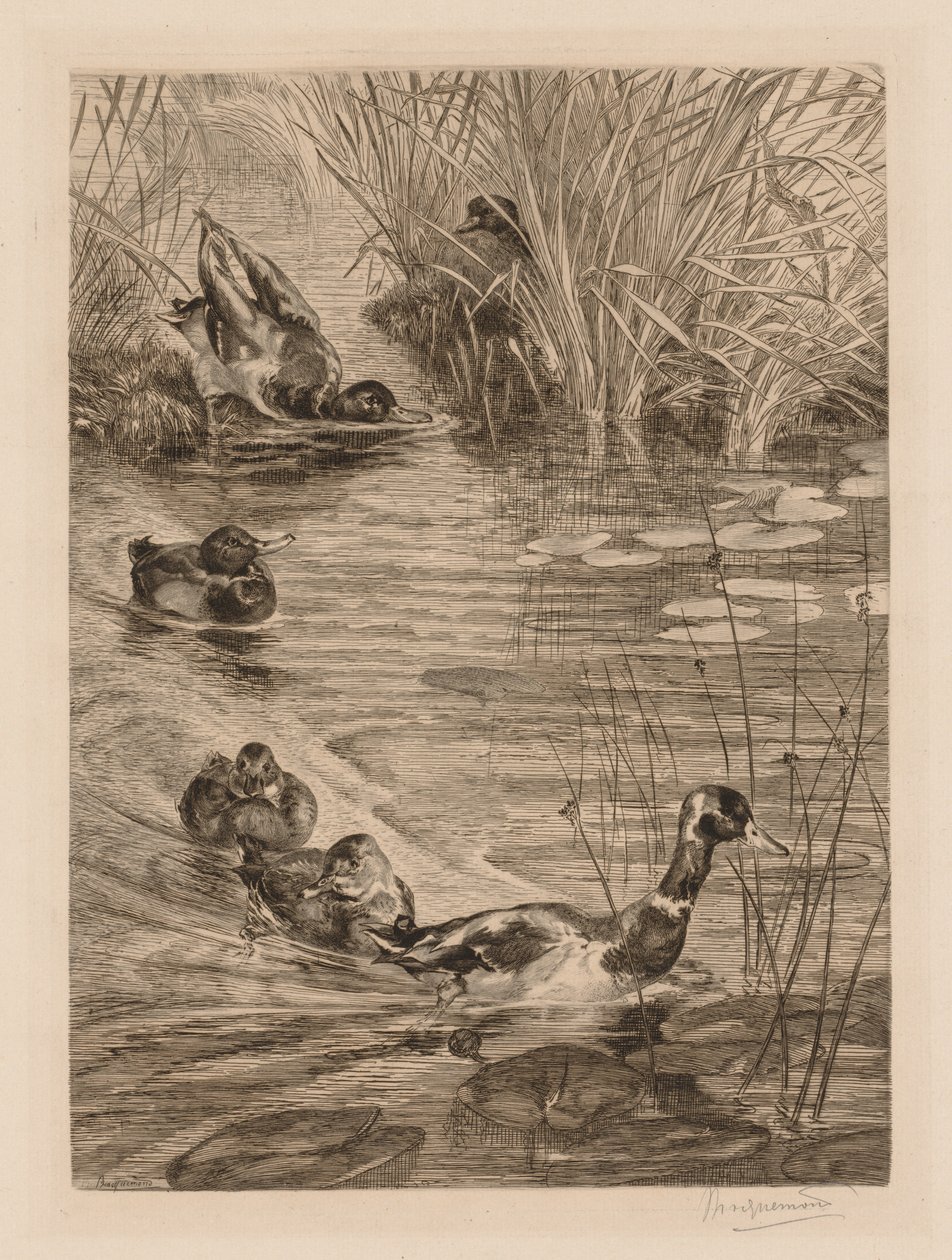 البط في اللعب ، ج. 1870. بواسطة فيليكس براكيموند