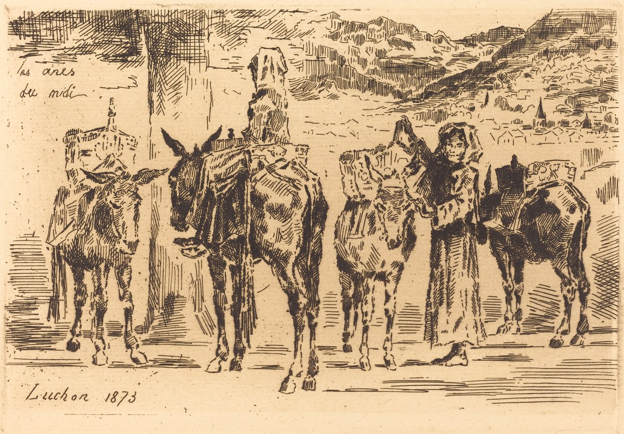 صفائح الحمير من الجنوب ، 1873. بواسطة فيليكس هيلير بوهوت