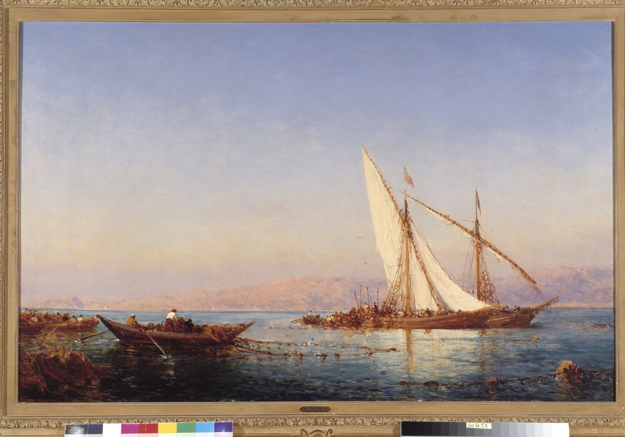 صيد السمك في مرسيليا لوحة بقلم فيليكس زيم (1821-1911) 1911 إشارة إلزامية: مؤسسة المجموعة بخصوص دي بروفانس ، مرسيليا بواسطة فيليكس زيم