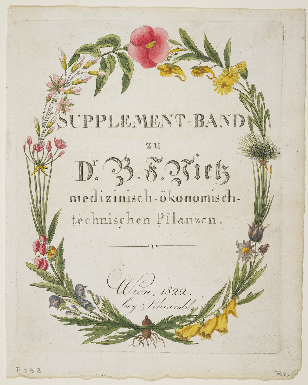 واجهة الصفحة وصفحة العنوان لـ Supplement-Band zu Dr. النباتات B Vietz medizinisch-ökonomisch-technischen ، من الأيقونات Planta Medica تجربة اقتصادية تكنولوجية مع عوائدها بواسطة فرديناند بيرنهارد فيتز