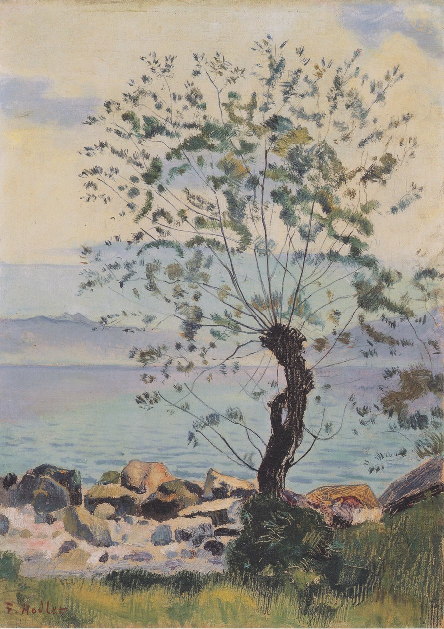 Weidebaum am See بواسطة فرديناند هودلر