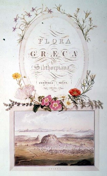 صفحة العنوان للمجلد 6 من "Flora Graeca Sibthorpiana" بواسطة فرديناند باور