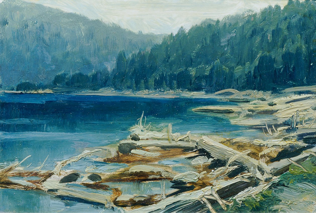 Šumava (من الحافظة "16 مشهدًا من المناظر الطبيعية التشيكية" eska Krajiná ") بواسطة فرديناند إنجلمولر