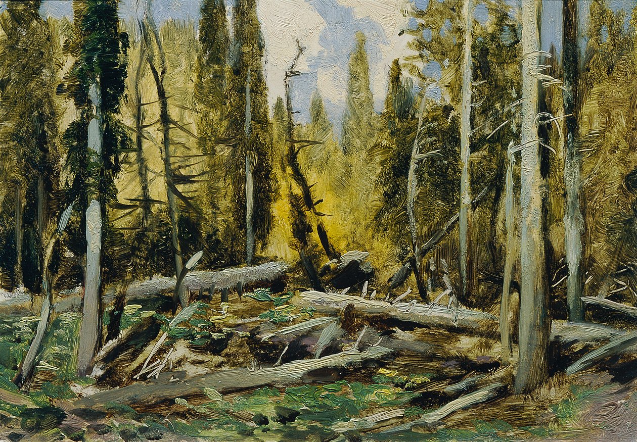Šumava (من الحافظة "16 مشهدًا من المناظر الطبيعية التشيكية" eska Krajiná ") بواسطة فرديناند إنجلمولر