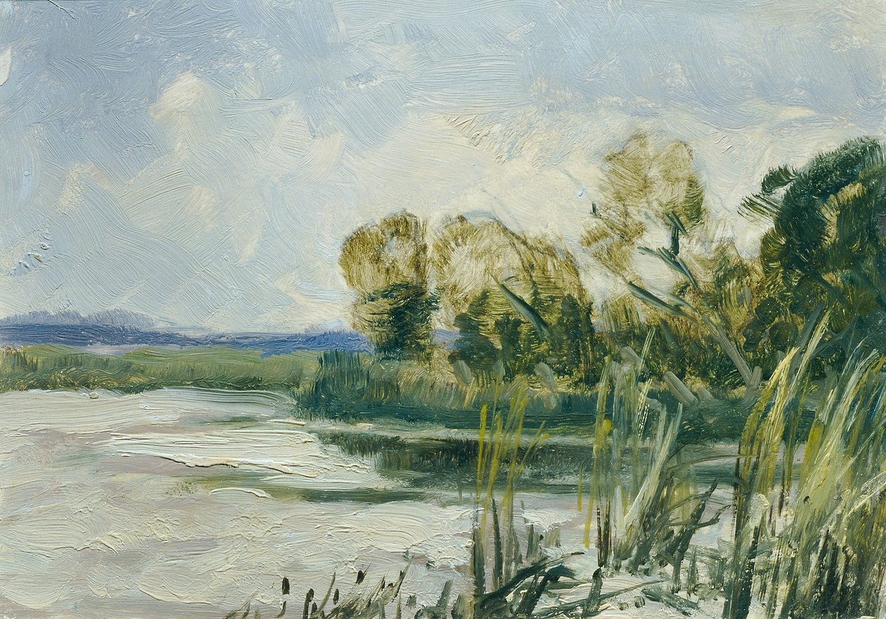 Wittingau (من الحافظة "16 مشهدًا من المناظر الطبيعية التشيكية تشيسكا كراجينا") بواسطة فرديناند إنجلمولر