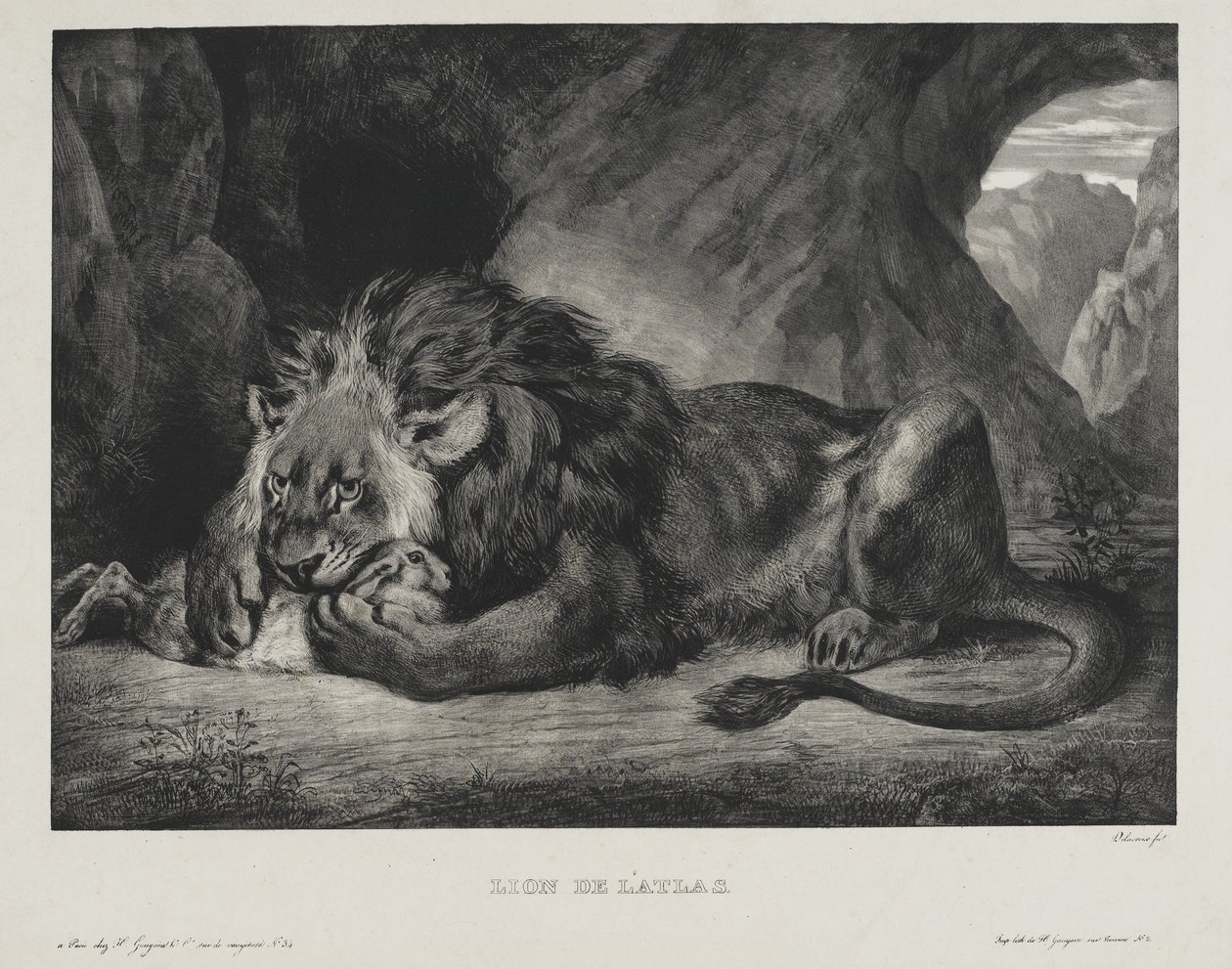 Lion de lAtlas, 1829  بواسطة فرديناند فيكتور يوجين ديلاكروا