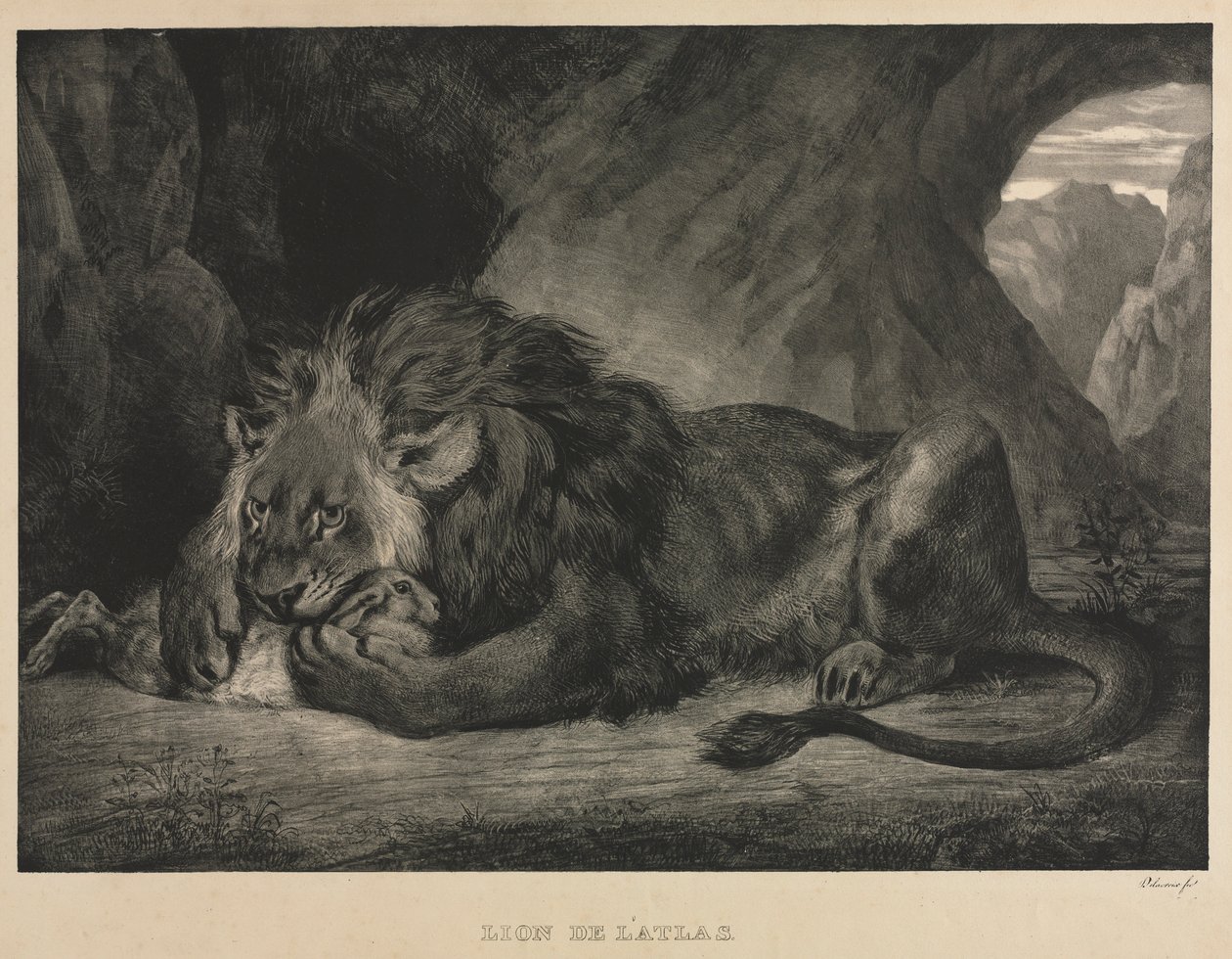 Lion de lAtlas, 1829.  بواسطة فرديناند فيكتور يوجين ديلاكروا