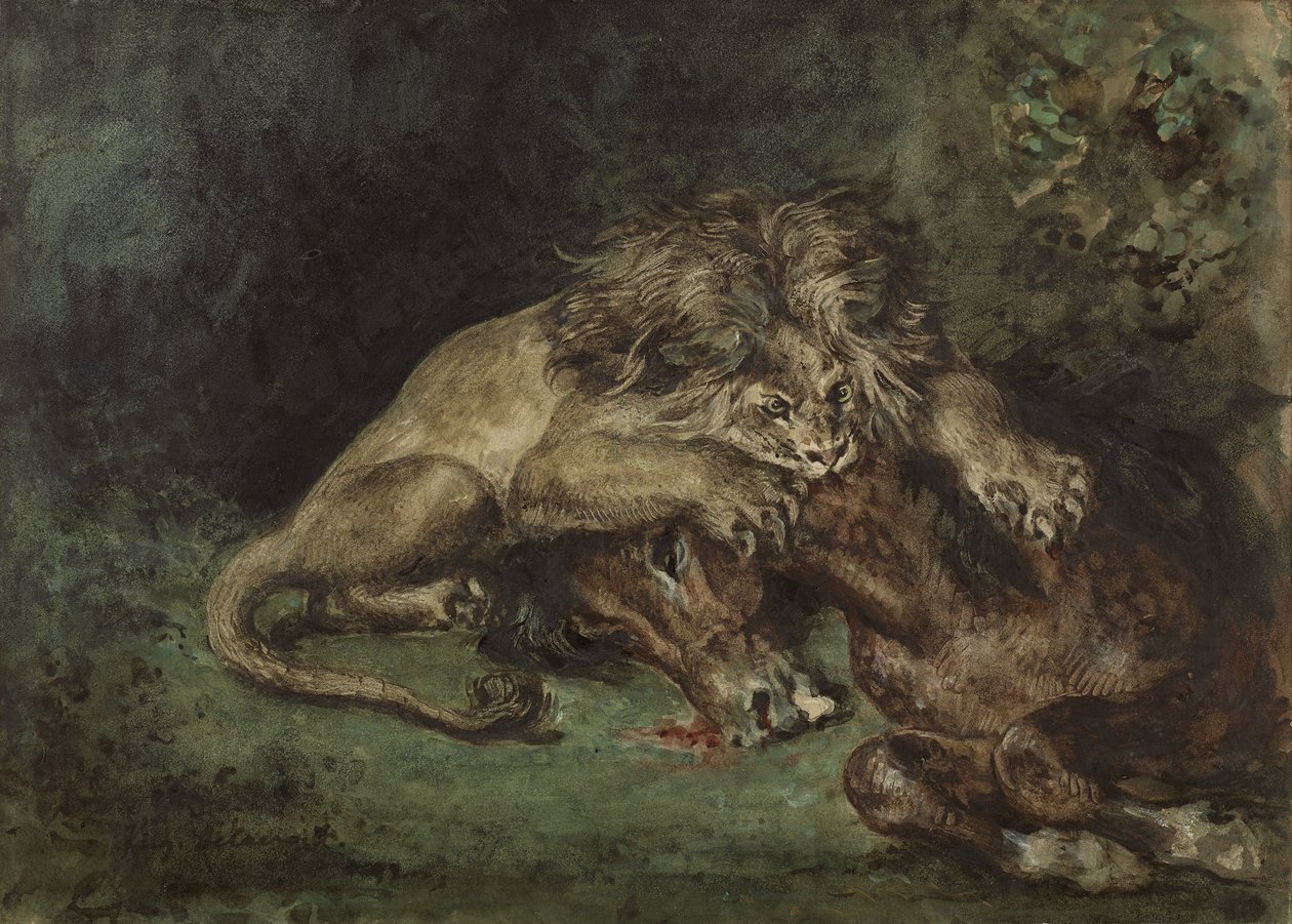 Lion dévorant un cheval (الأسد يلتهم حصانًا) ، ج. 1844 (ألوان مائية ، علكة من ألوان الجسم ، صمغ عربي مع جرافيت على ورق ، مثبت على السبورة) بواسطة فرديناند فيكتور يوجين ديلاكروا