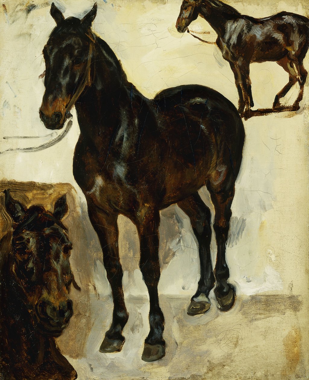 ثلاث دراسات للخيول. ثلاث دراسات للخيول ، ج .1823 بواسطة فرديناند فيكتور يوجين ديلاكروا