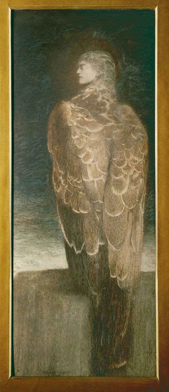  بواسطة فرناند خنوف