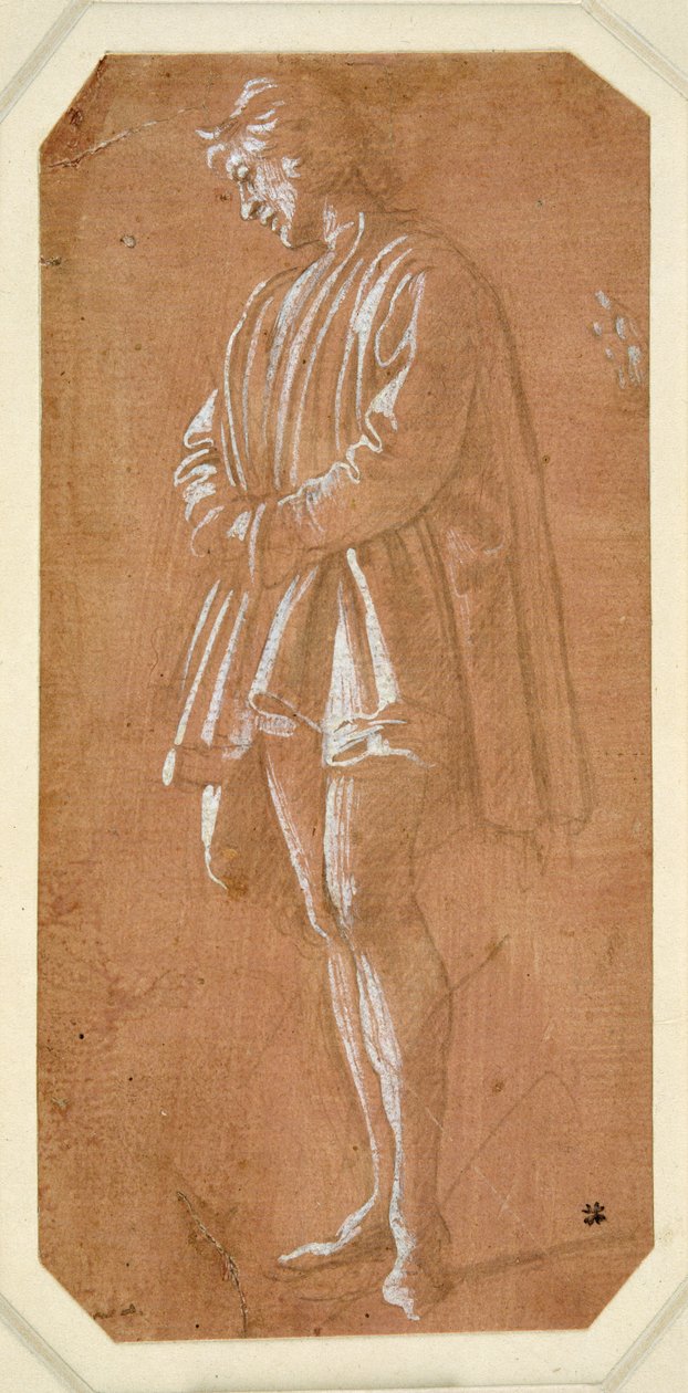 Study of a young man standing with his hands folded in his sleeves (metalpoint on paper prepared pink, heightened with white body colour) بواسطة فلبيني ليبي