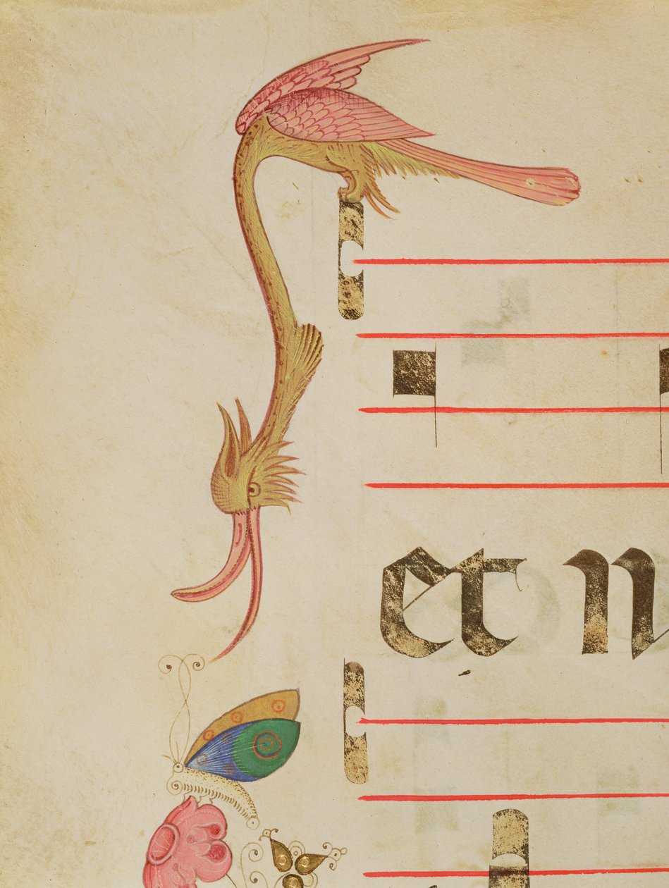 Missal 515 f.9r طائر خيالي يصطاد فراشة ، تفاصيل الحدود الزخرفية من كتاب جوقة تم تنفيذها قبل عام 1449 بواسطة Filippo di Matteo Torelli
