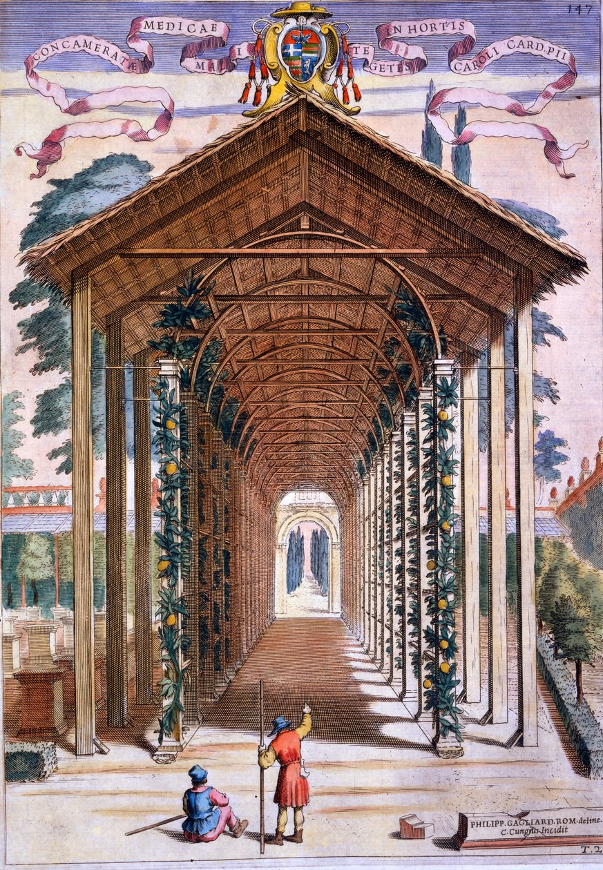 ممر مغطى بالثلج ، من "Hesperides" بقلم جيوفاني باتيستا فيراري ، محفور بواسطة Camillo Congio (fl.1630) ، نشر 1646 بواسطة فيليبو جاجلياردي