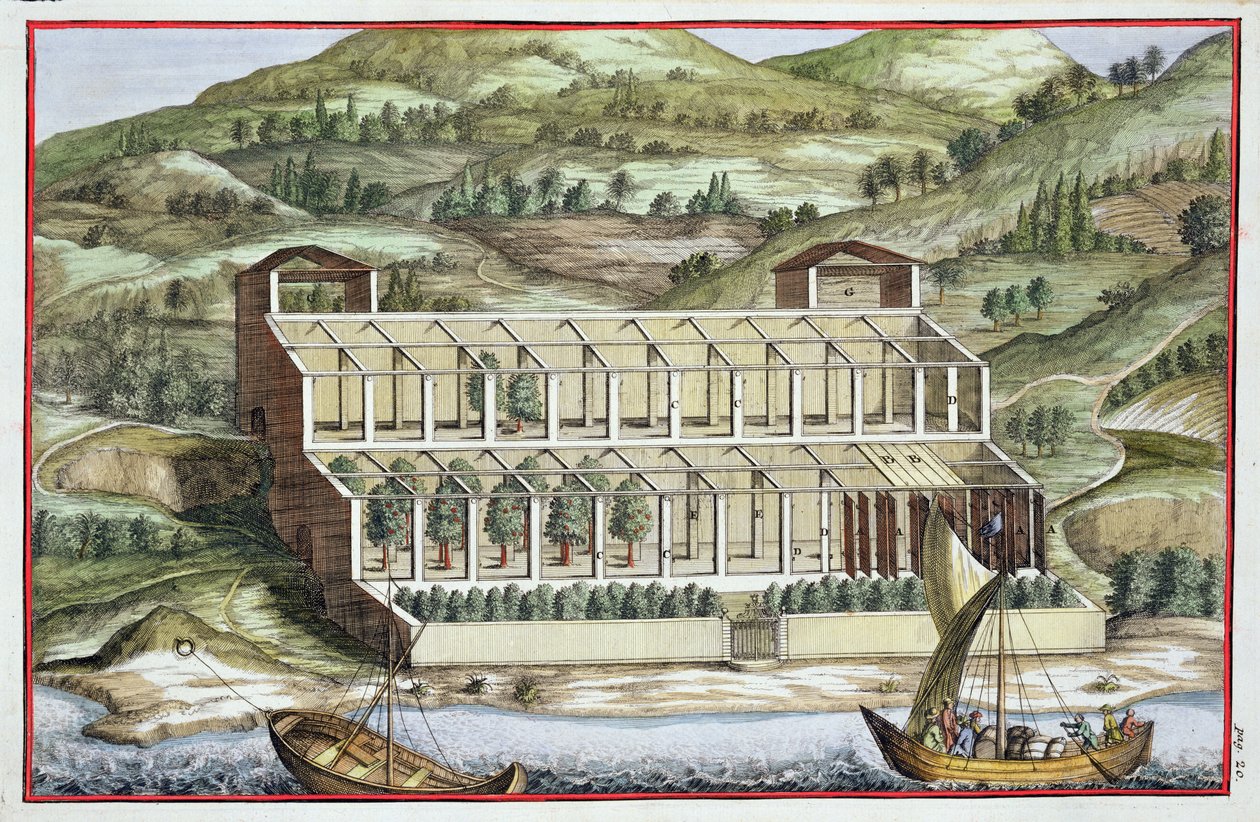 هيكل الدفيئة ، من "Hesperides" بقلم جيوفاني باتيستا فيراري ، منقوش بواسطة Cammillo Congio (fl.1630) ، نشر 1646 بواسطة فيليبو جاجلياردي