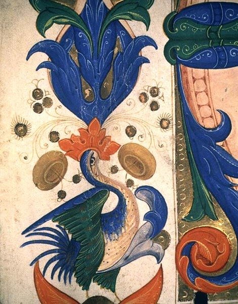 Missal 515 1r حد فوليوم زومورفيك ، تفاصيل من كتاب جوقة تم تنفيذها قبل عام 1449 (تفاصيل 88903) بواسطة Filippo di Matteo Torelli