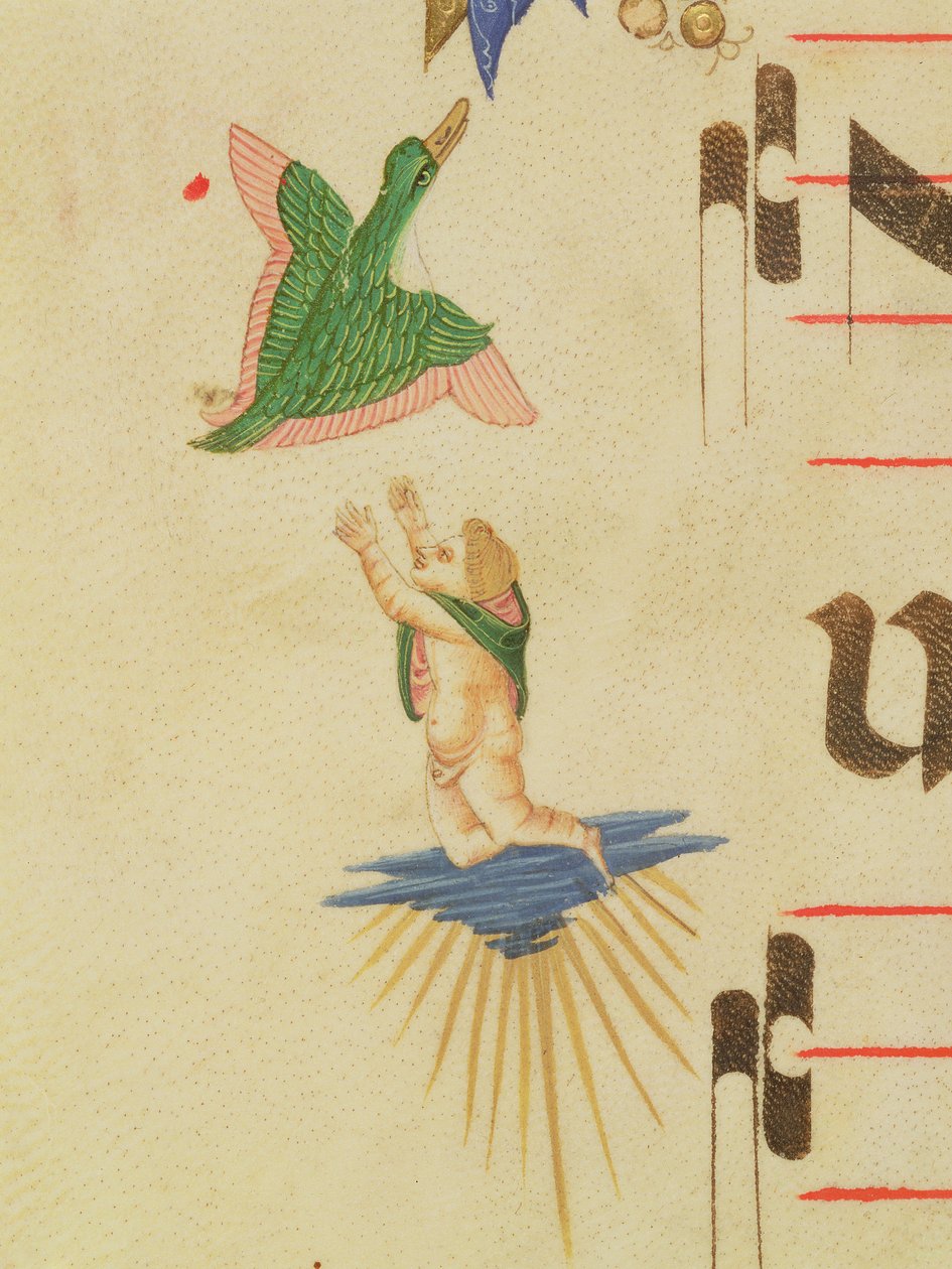 Missal 515 f.13v كروب محجوب يحاول الإمساك بطائر طائر ، من حدود زخرفية ، تفاصيل من كتاب جوقة تم تنفيذه قبل 1449 بتفاصيل رقعة 56721 بواسطة Filippo di Matteo Torelli
