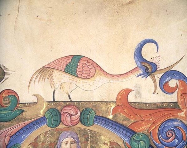 Missal 515 f.169r طائر خيالي ، تفاصيل الزخرفة المحيطة بحرف أولي مؤرخ من كتاب جوقة تم تنفيذه قبل عام 1449 (ورق رق) (تفاصيل 56720) بواسطة Filippo di Matteo Torelli