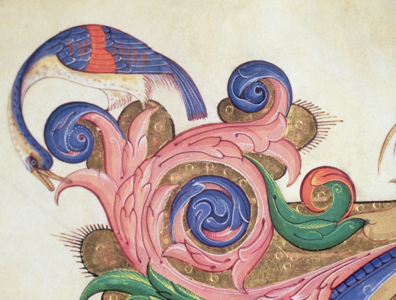 Missal 515 f.169r طائر خيالي يحدق حول أوراق الشجر ، تفاصيل الزخرفة المحيطة بأحرف أولية تاريخية من كتاب جوقة تم تنفيذها قبل 1449 تفاصيل رقمية 56720 بواسطة Filippo di Matteo Torelli